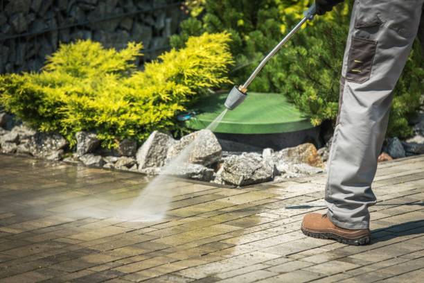 Best House Exterior Washing  in West Pleasant View, CO